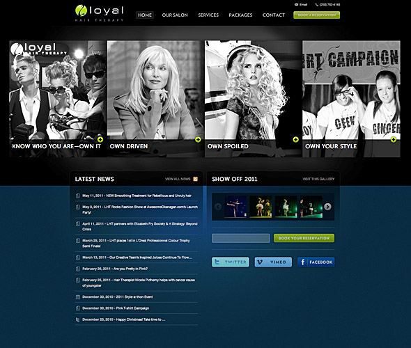 Screenshot of website